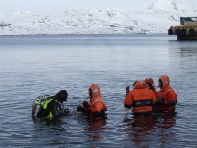Arctic Divers