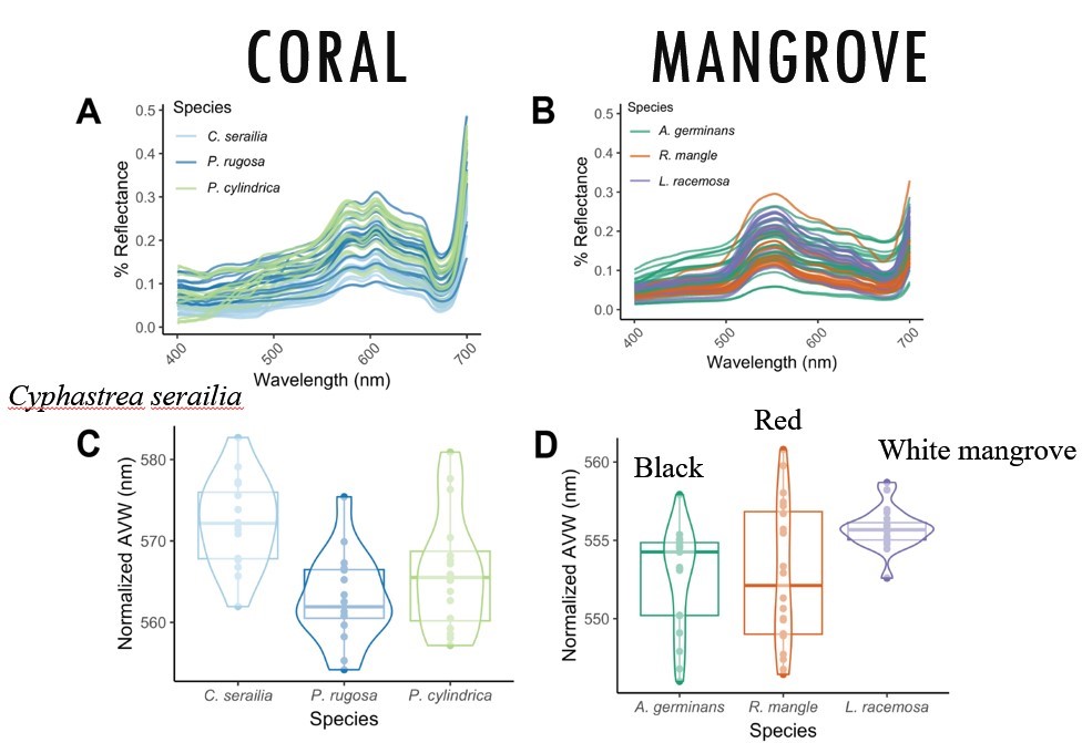 Coral nd Mangrove charts