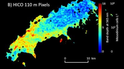 HICO image of Mesodinium concentration