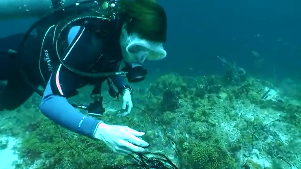 Coral reef at Blue Bay, Curacao