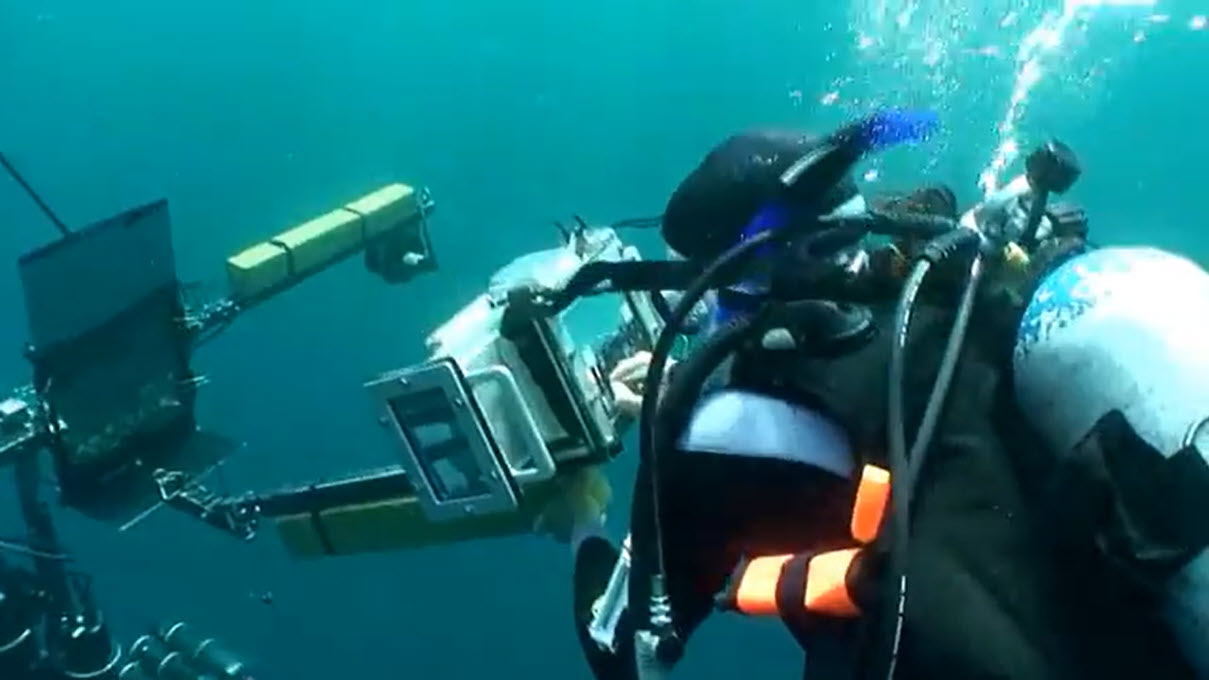 Conducting polarization measurements of silvery fish in Curacao, 2012