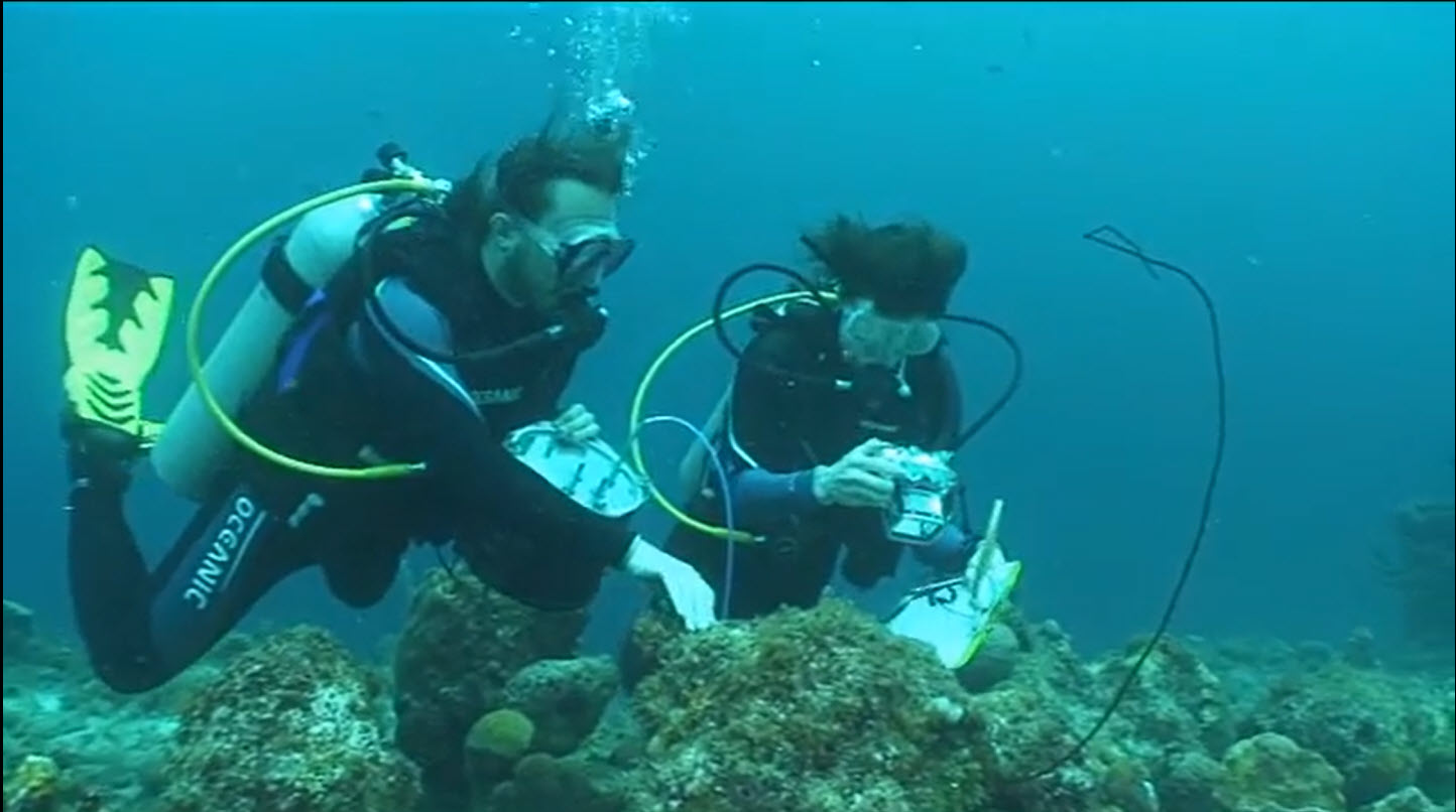 2 people scuba diving using a camera